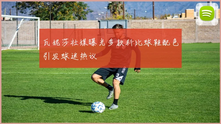 瓦妮莎社媒曝光多款科比球鞋配色引发球迷热议